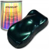 Black Interference bike paint kit - 6 colors