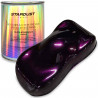 Black Interference bike paint kit - 6 colors