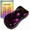 Black Interference bike paint kit - 6 colors