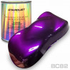 metallic bike paint kit - 23 colors to choose from