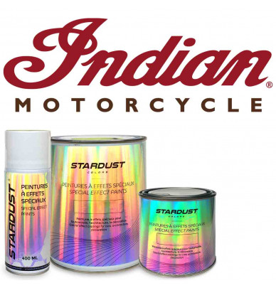 BUELL motorcycle paints - Manufacturer's colors in solvent-based varnish base